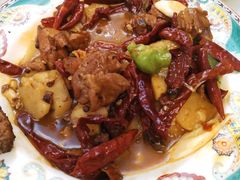 新疆沙湾大盘鸡-巴依老爷新疆美食(魏公村店)