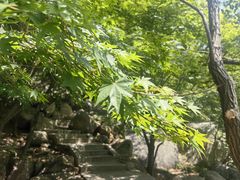 -崂山巨峰游览区
