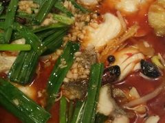 -莲苑中餐厅·Lotus Court(厦门马哥孛罗东方大酒店)
