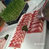 没有枝枝叶叶昏暗的丛林风格