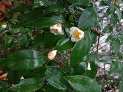 -溪口-滕头旅游景区