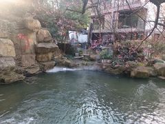 -杭州植物园