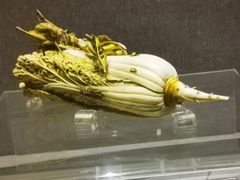 -四川博物院