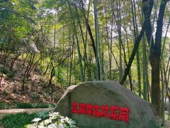 -石燕湖生态旅游景区
