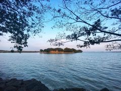 -同里湖度假村(二期店)
