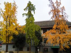 -四川大学(华西校区)