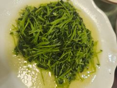 炒豆苗-红灯笼龙凤饭店(宁波老字号店)