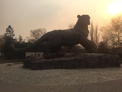 -北京动物园