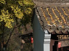 -丹山赤水风景名胜区