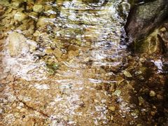 -王顺山国家森林公园