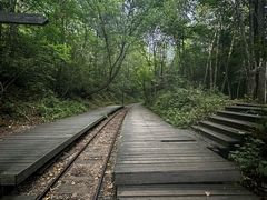 -五营红松林海景区