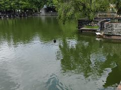 -东莞市可园博物馆