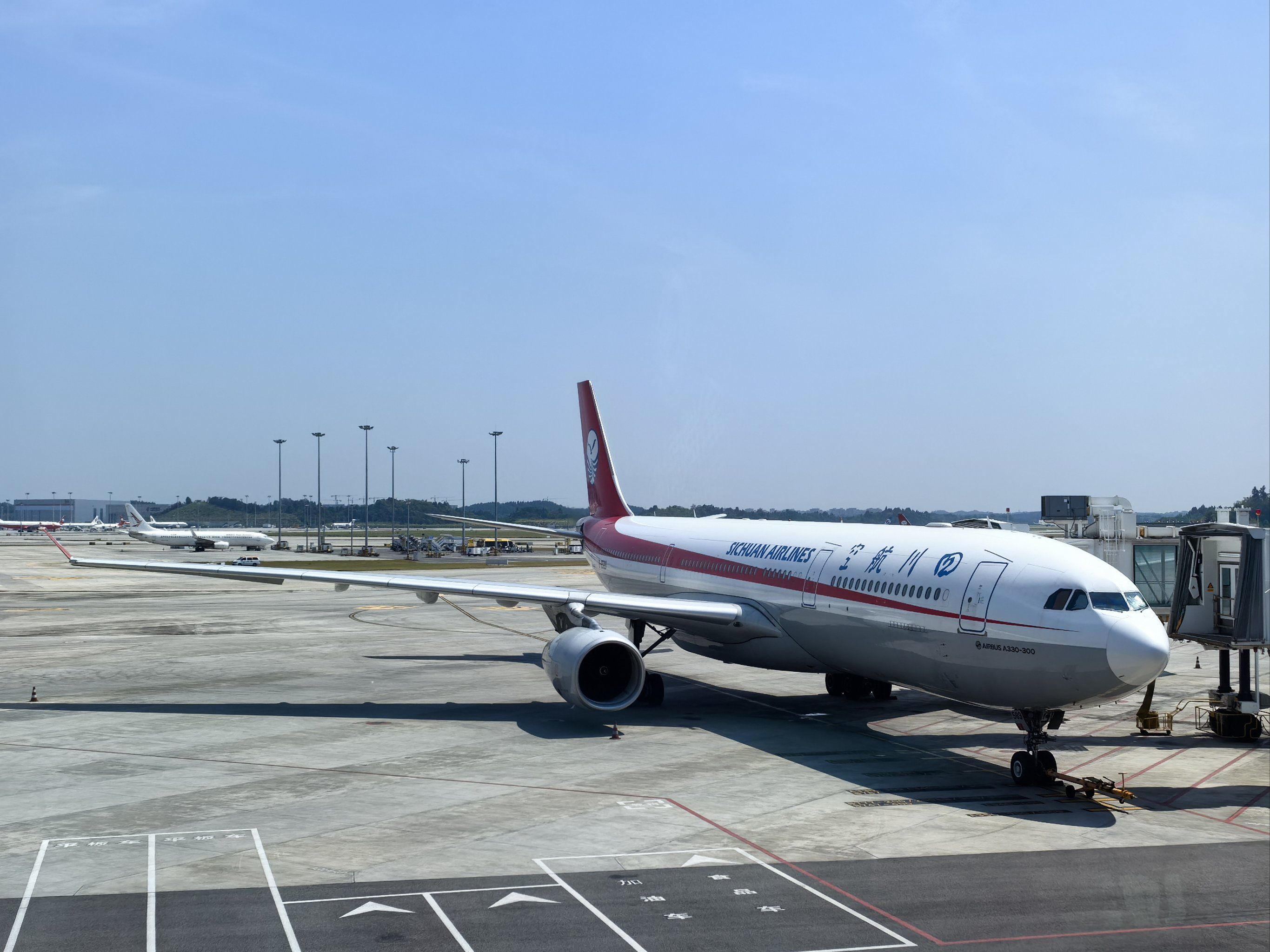 心随旅途飞 ✈️