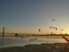 -星海广场