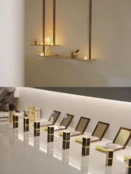 -VE专注问题肌·赛诺龙&科学美肤中心