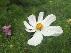 -天津东丽湖风景区