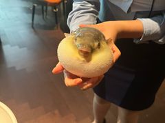-肆月河豚·淮扬菜·湘菜(华天店)
