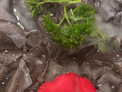 -蜀九香火锅(彩虹店)