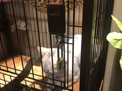 -津菜宋记老房子(鼓楼店)