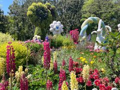 -上海共青森林公园