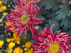 -西北湖绿化广场