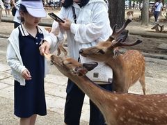 -奈良公园