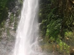 -莫里热带雨林景区