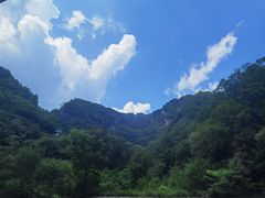 -牛背梁国家森林公园