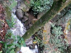 -四会奇石河风景区