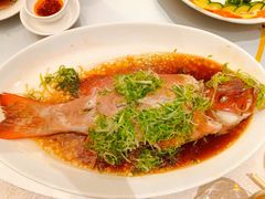 -金龙渔港(双楠店)