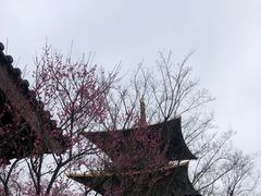 -广富林郊野公园