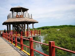 -北海金海湾红树林生态旅游区