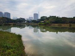 -福田红树林生态公园