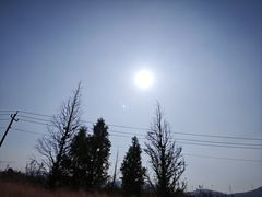 -羊亭河湿地公园