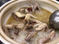 -鸽鸟轩(石岐店)