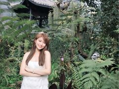 -东莞植物园