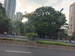-成都市活水公园