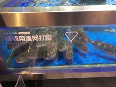 水产区-盒马鲜生(财富中心店)