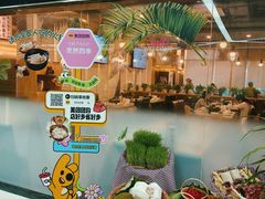 -烹然四季椰子鸡火锅(团结湖总店)