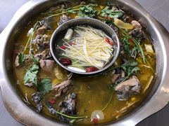 -黑河坝泡姜鸡贡椒鱼(贾旗路店)