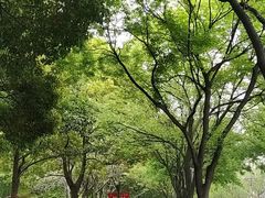 -棒约翰比萨·意面(张江店)