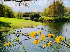 -上海共青森林公园