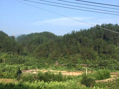 -安吉龙王山峡谷漂流