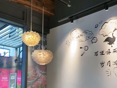 -MR鹅外