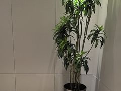 -东方威尼斯温泉酒店