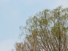 -睦南公园