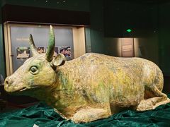 -宁夏博物馆