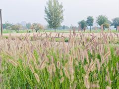 -汉长安城未央宫国家考古遗址公园