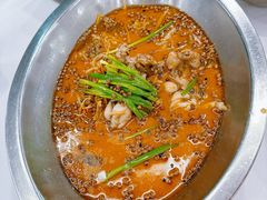 -沸腾鱼乡(知春路分店)