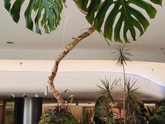 -枕水江南(铁西万象汇店)